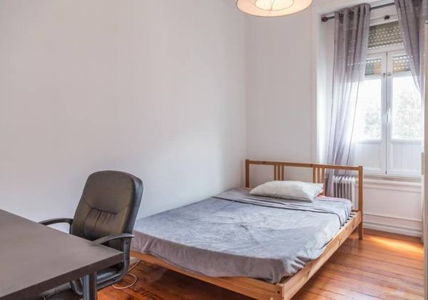 Sunny Room 4 with Ample Window — photo 17