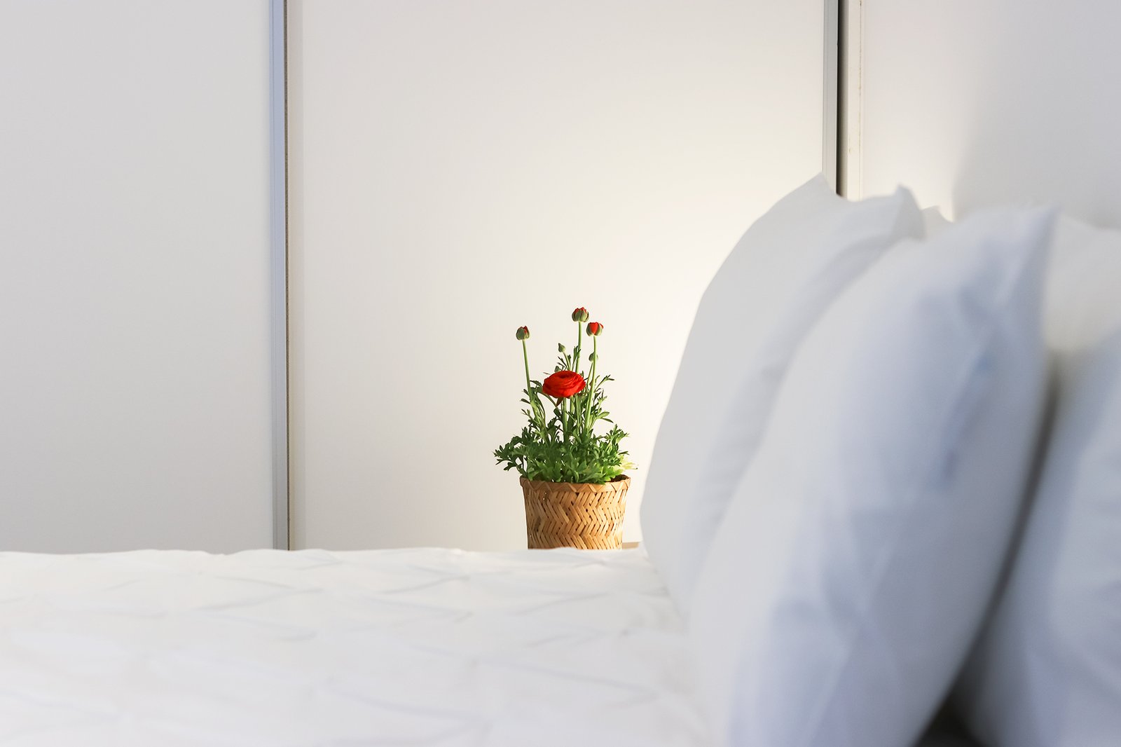 Studio Bedroom