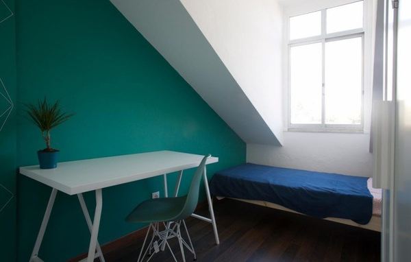Cozy Single Room 1 with Desk & Terrace Access — photo 6